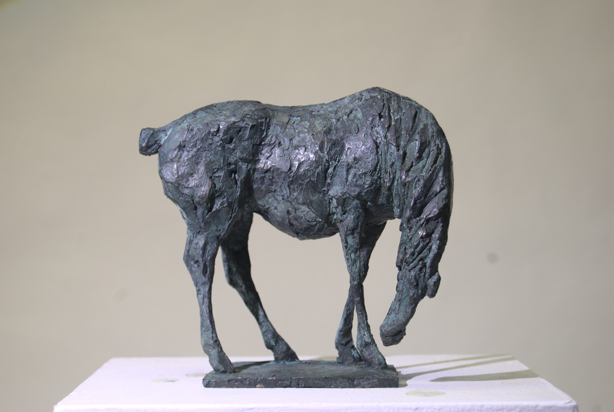 DSC_0014 Michael Mohns: Pferd