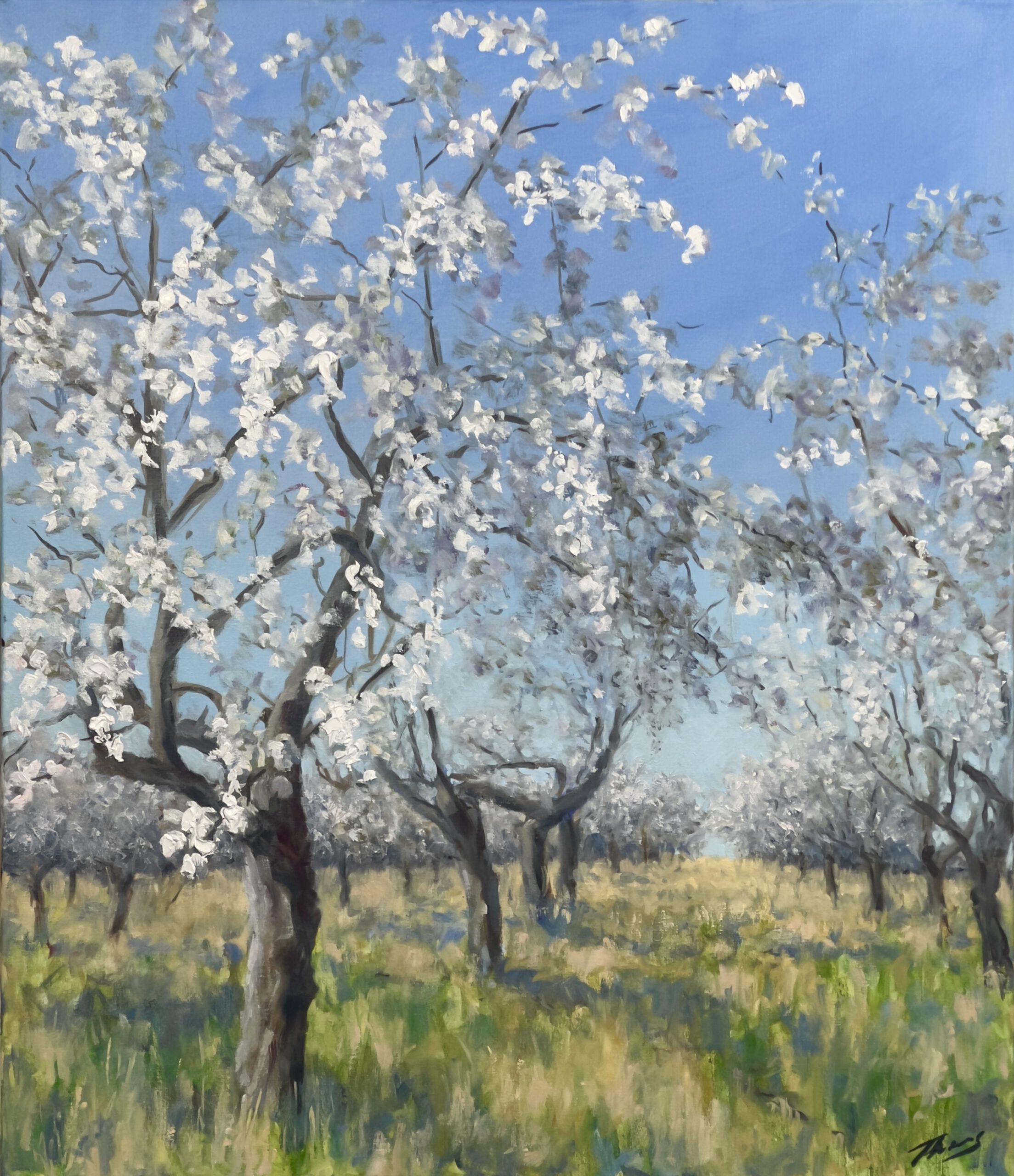 IMG_2484 Thomas Freundner: Aprilsonne