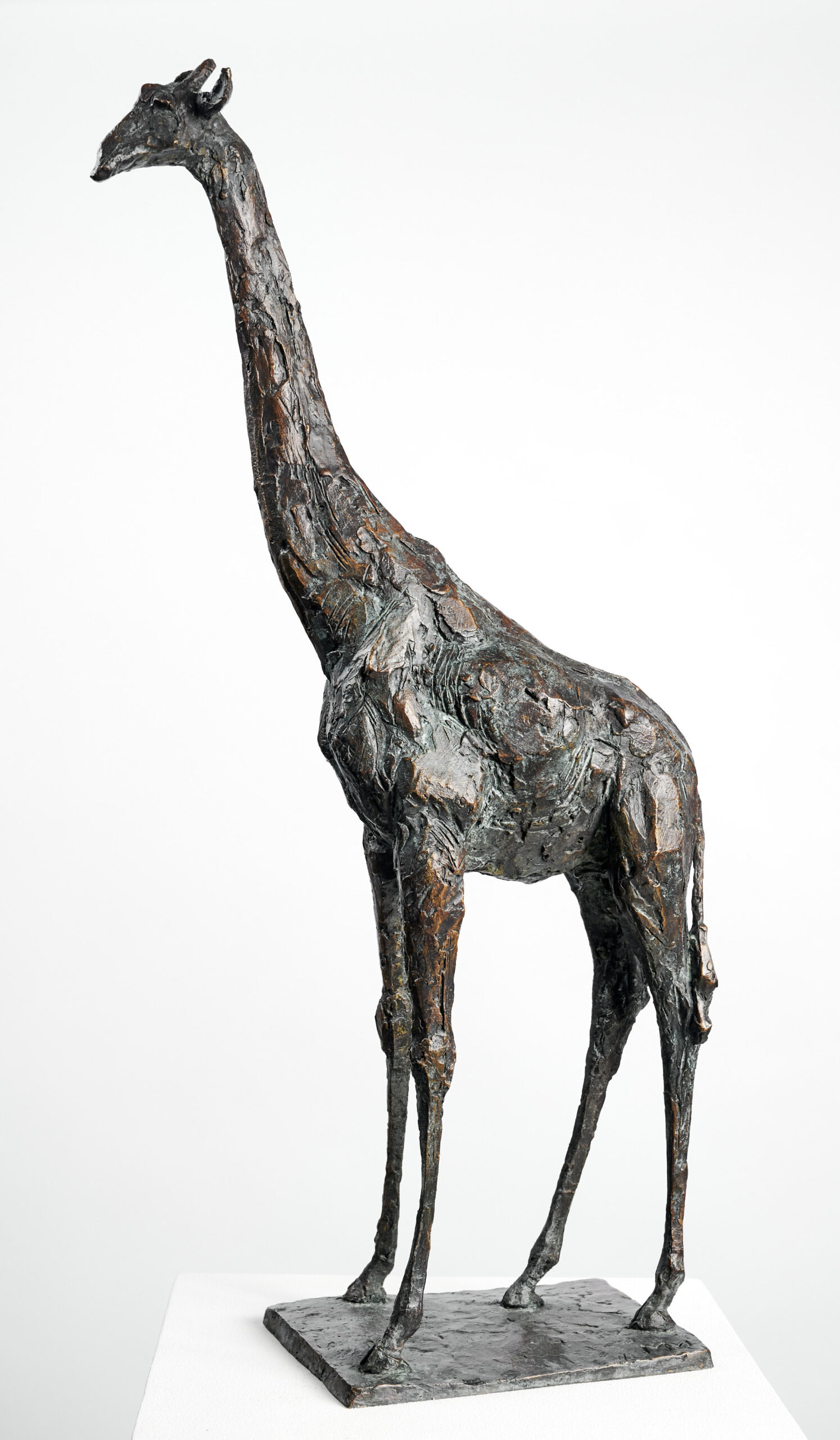 h 54 cm Michael Mohns: Giraffe